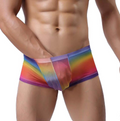 Men's Transparent Printed Mesh Underwear Pants
