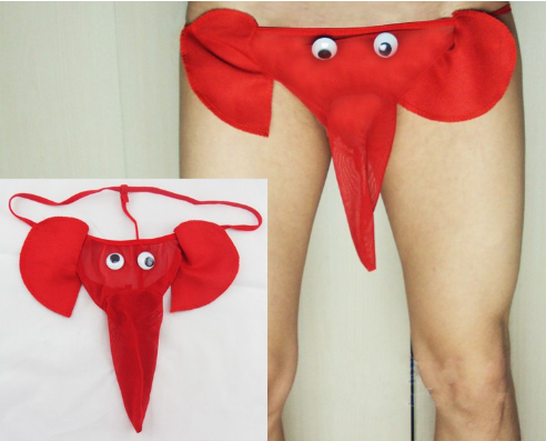 Men's Elephant Trunk Underwear (Boxer Briefs)