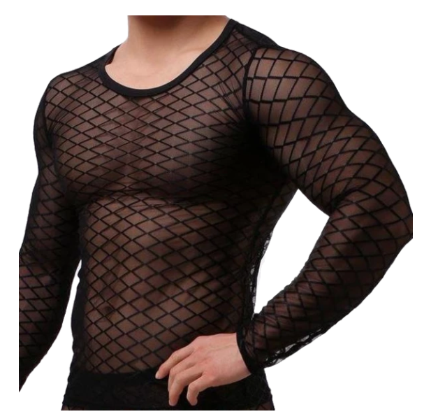 Mesh Long Sleeve Top