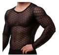 Mesh Long Sleeve Top