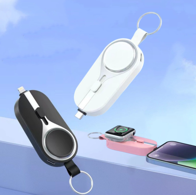 Portable Emergency Rechargeable Battery